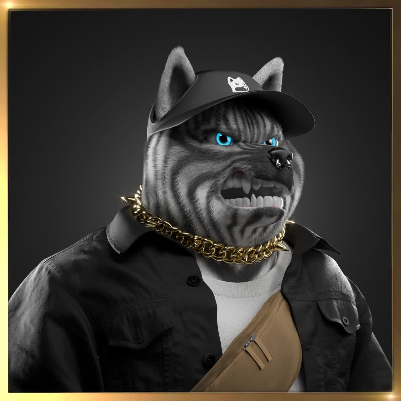 Shiba #1351