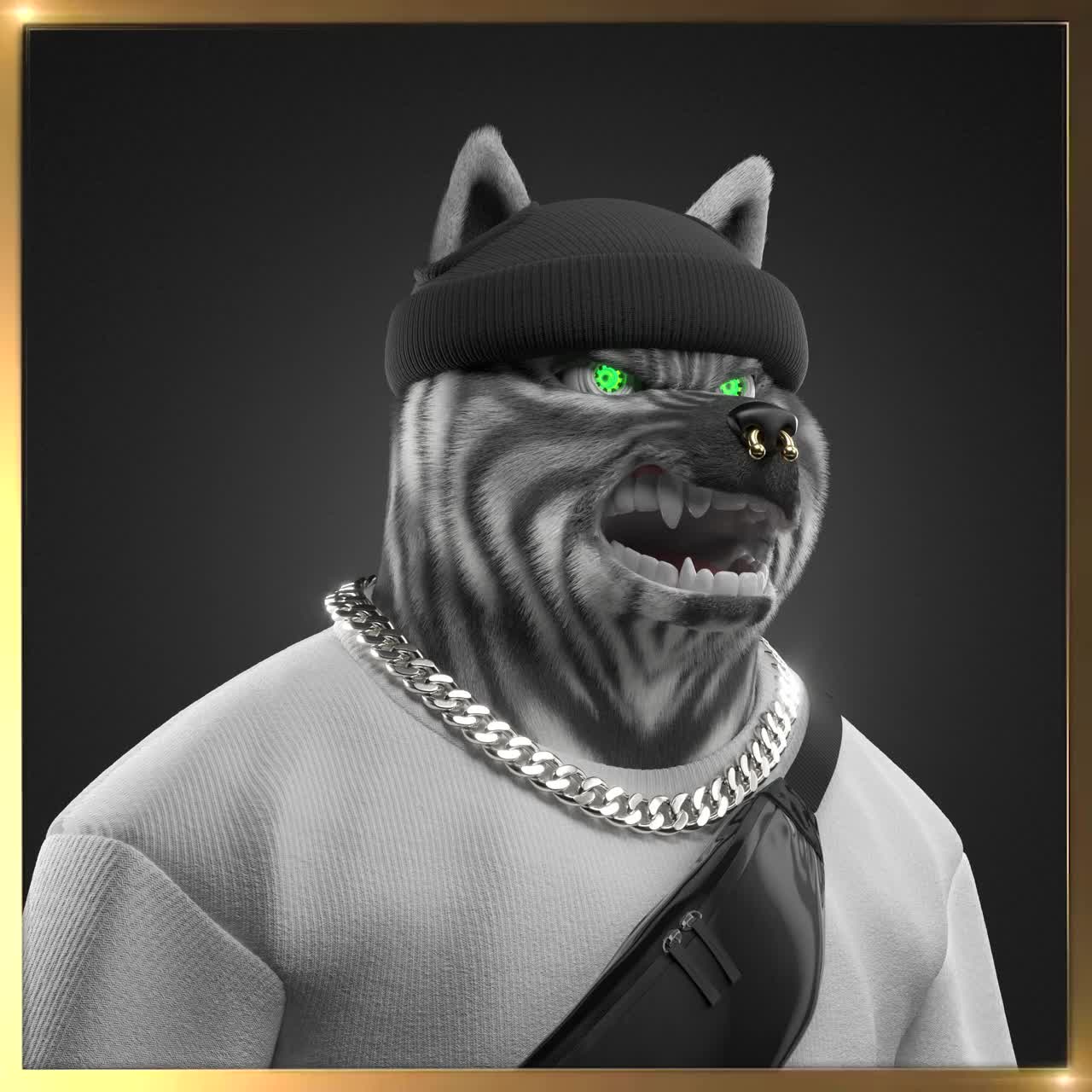 Shiba #1375