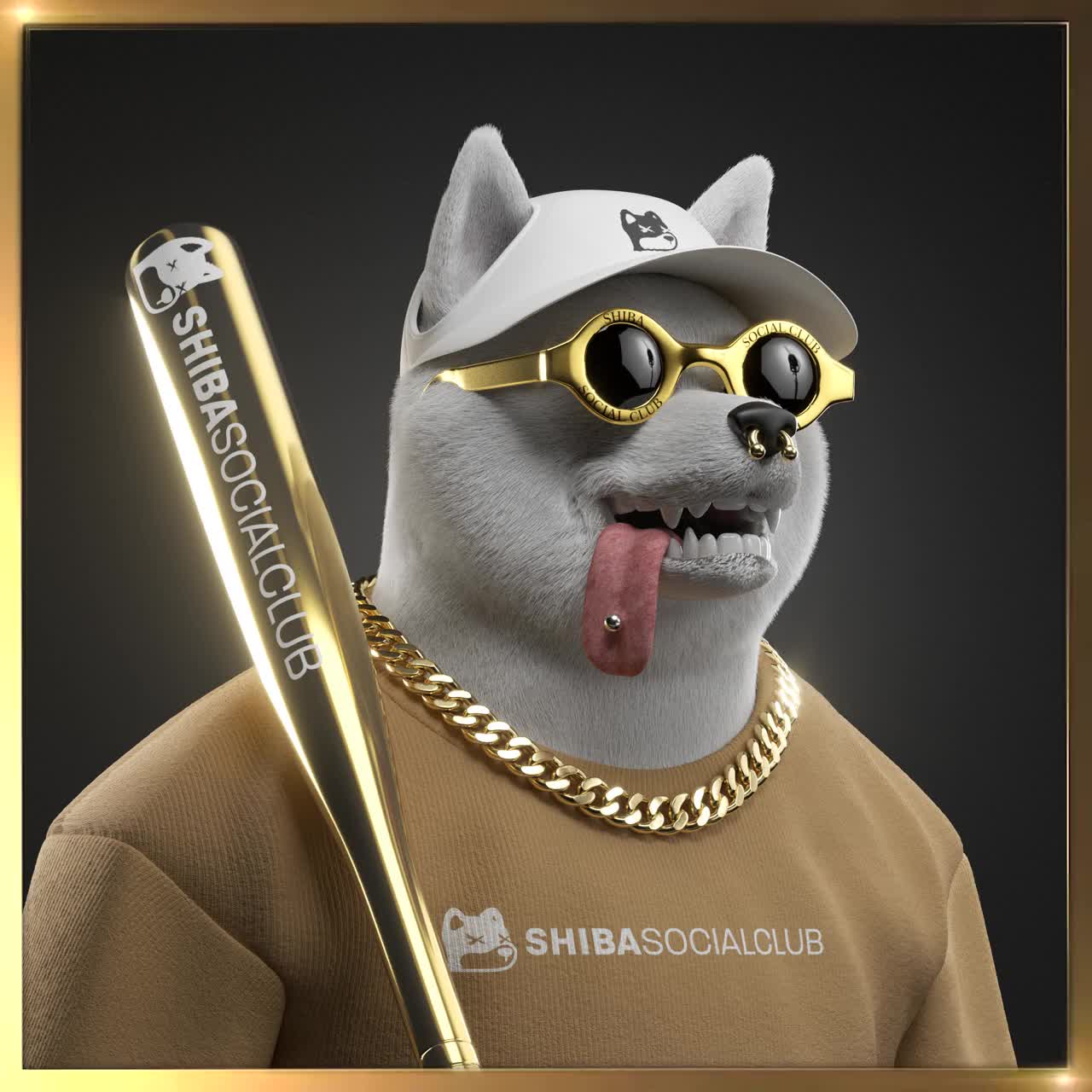 Shiba #1456