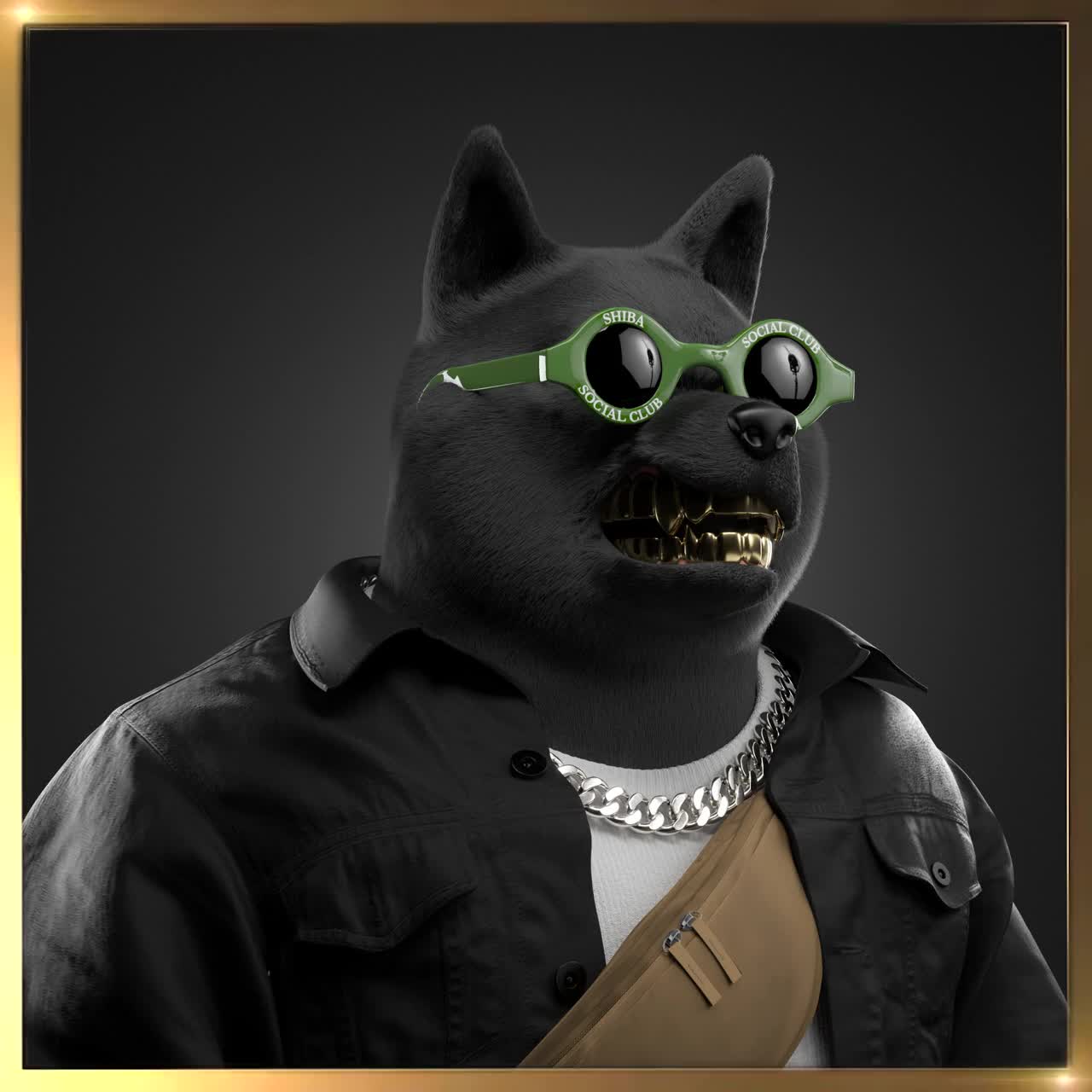 Shiba #1559