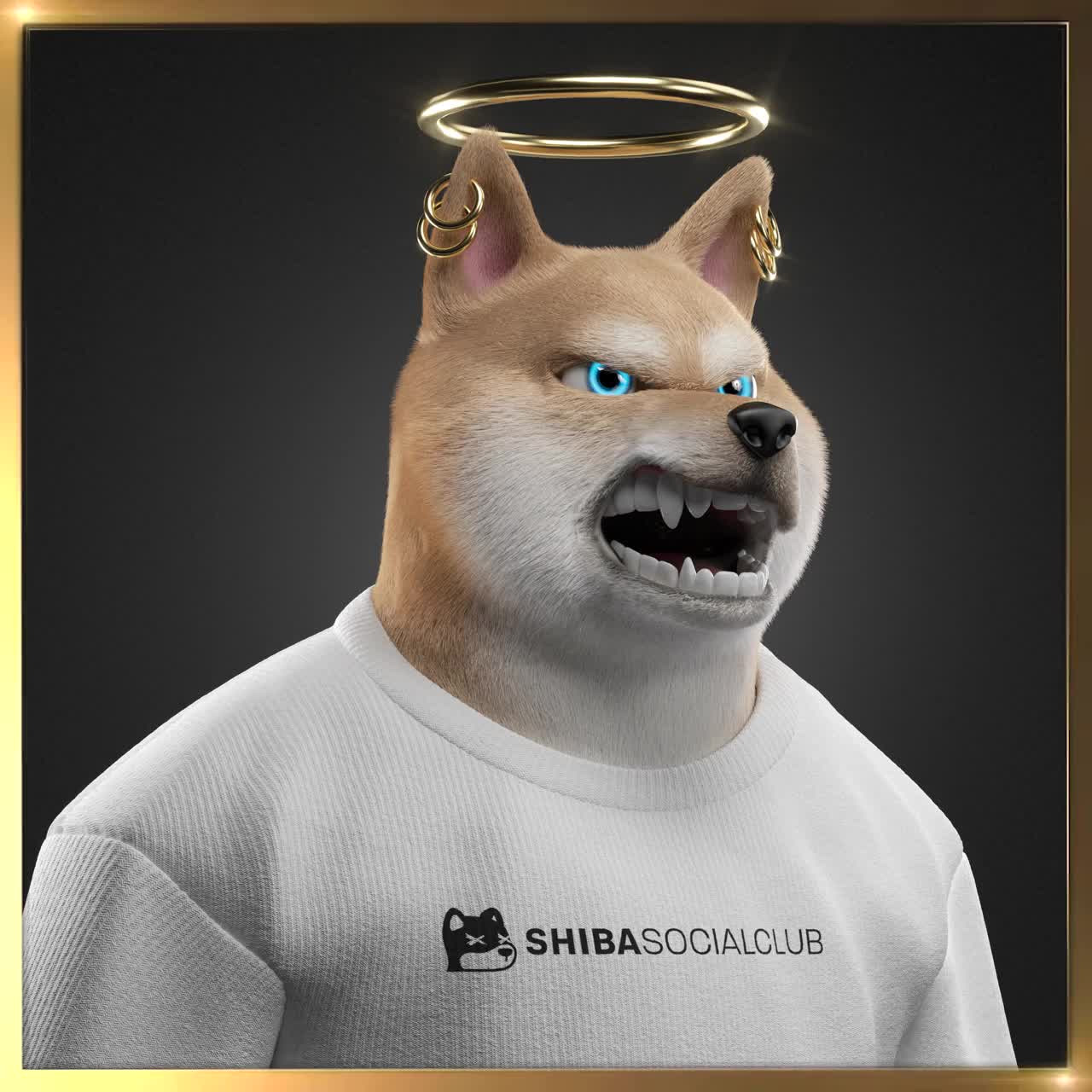 Shiba #1583