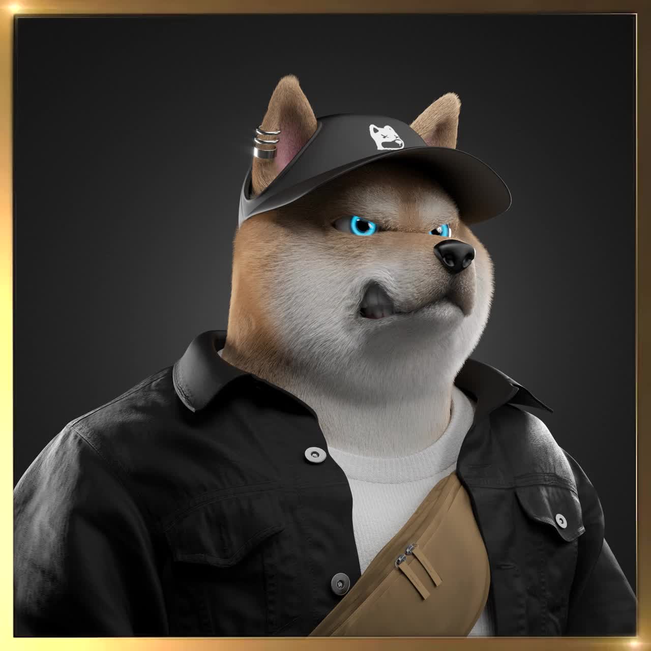 Shiba #1619