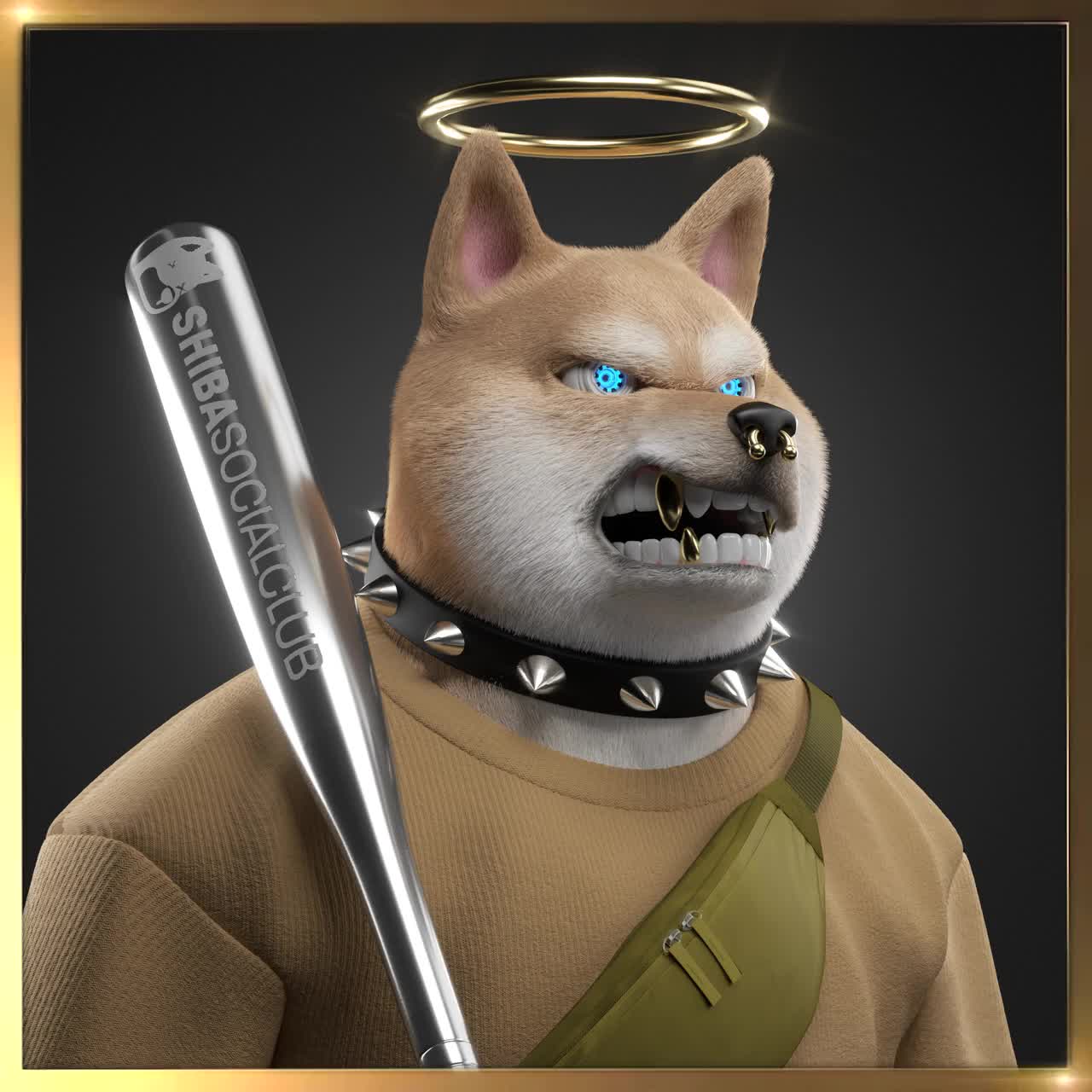 Shiba #1655