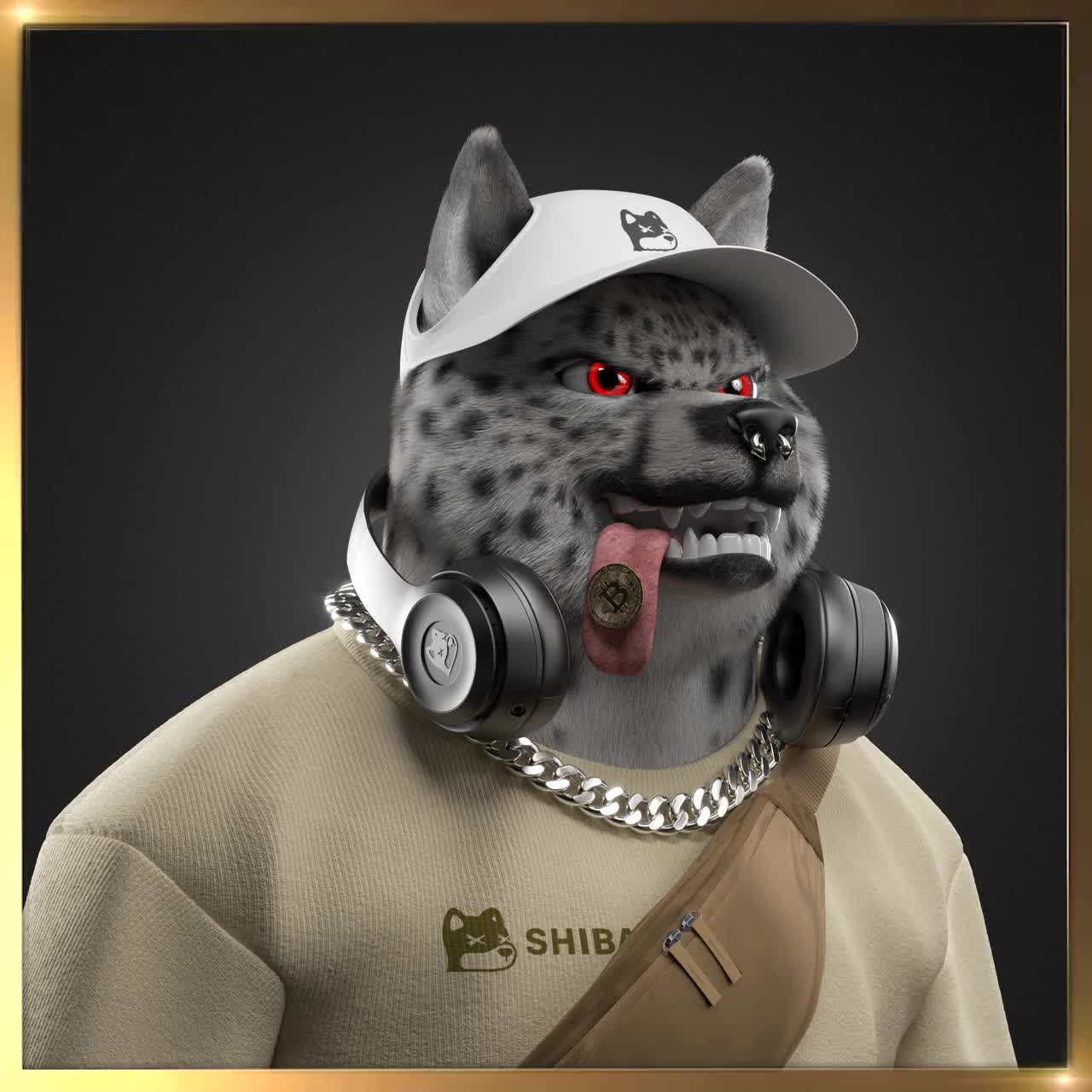 Shiba #1661