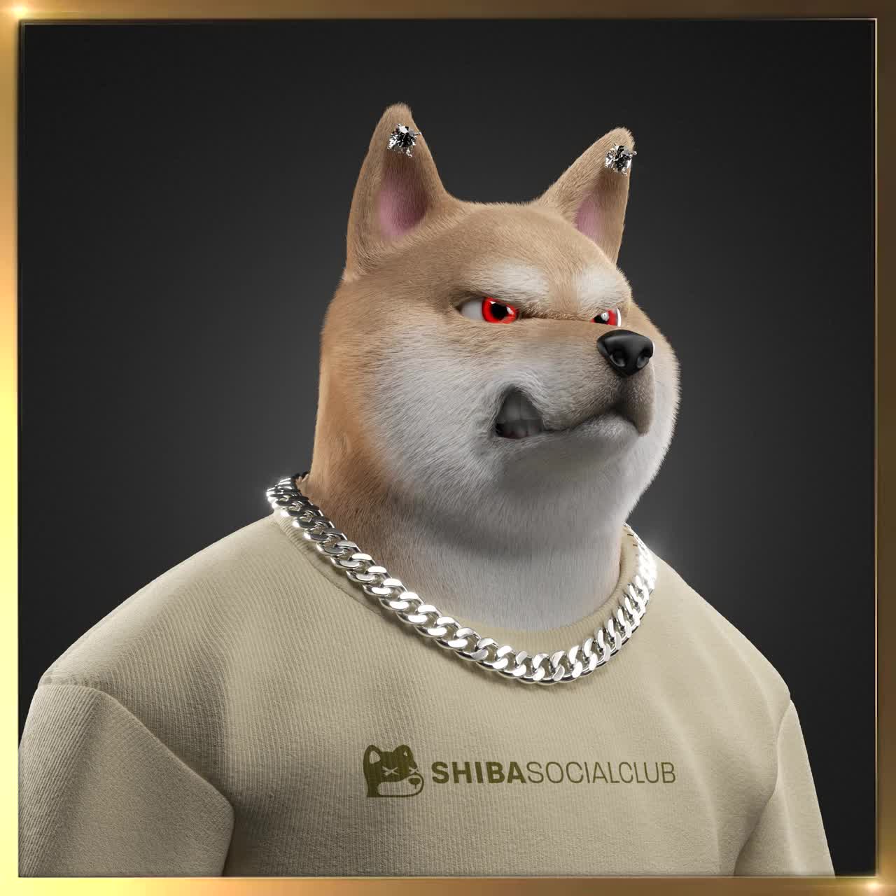 Shiba #1675