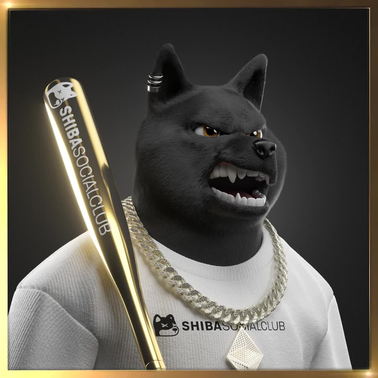Shiba #1685
