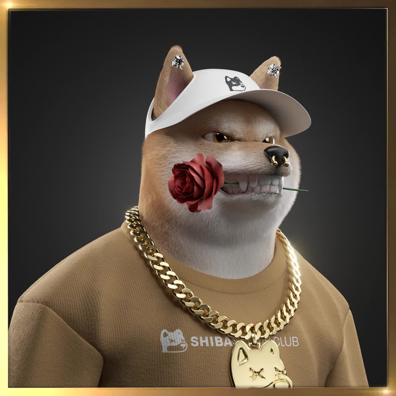 Shiba #1710