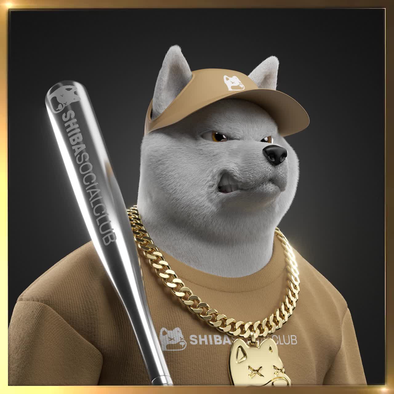 Shiba #1739