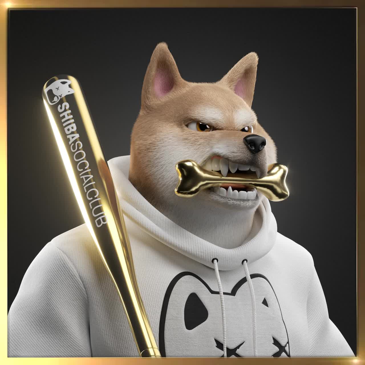 Shiba #1772
