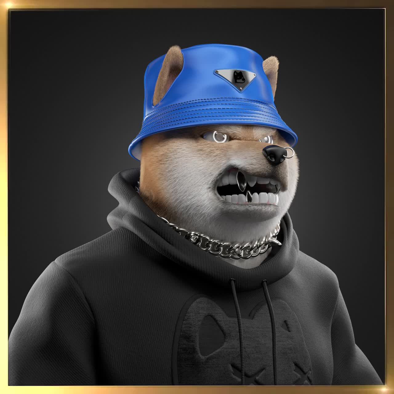 Shiba #1841