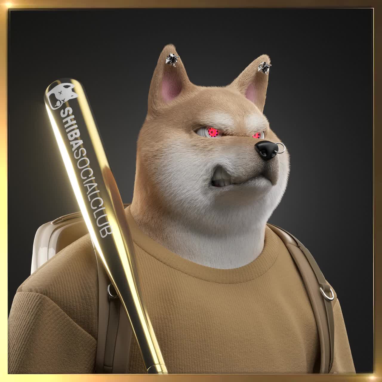 Shiba #1900