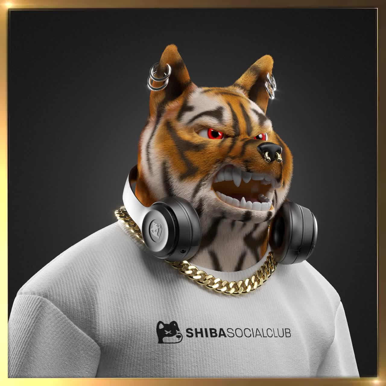 Shiba #1913