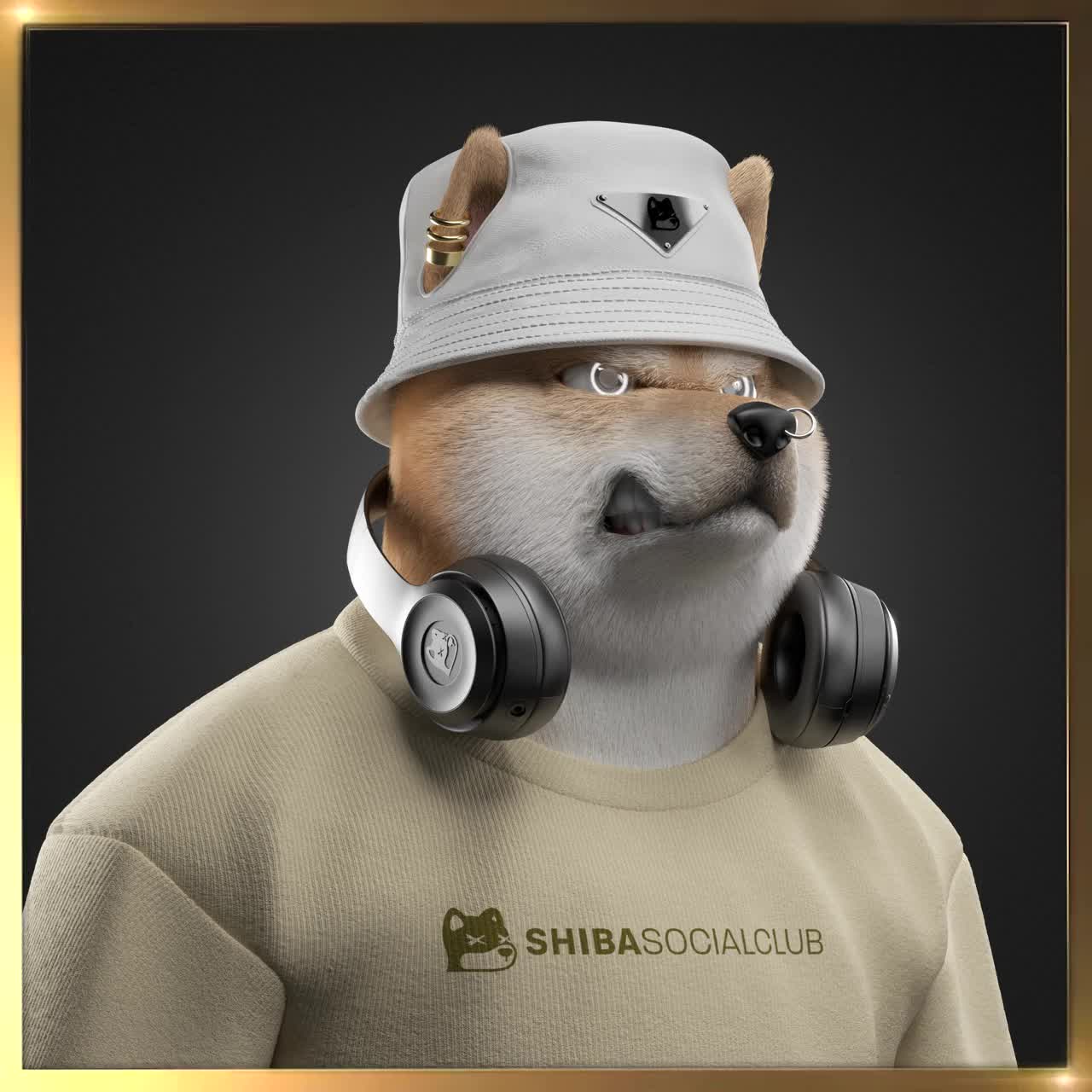 Shiba #1965