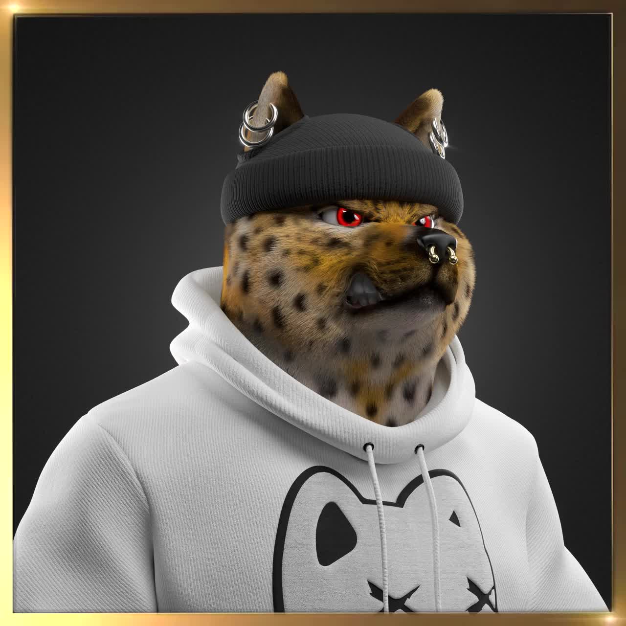 Shiba #1981