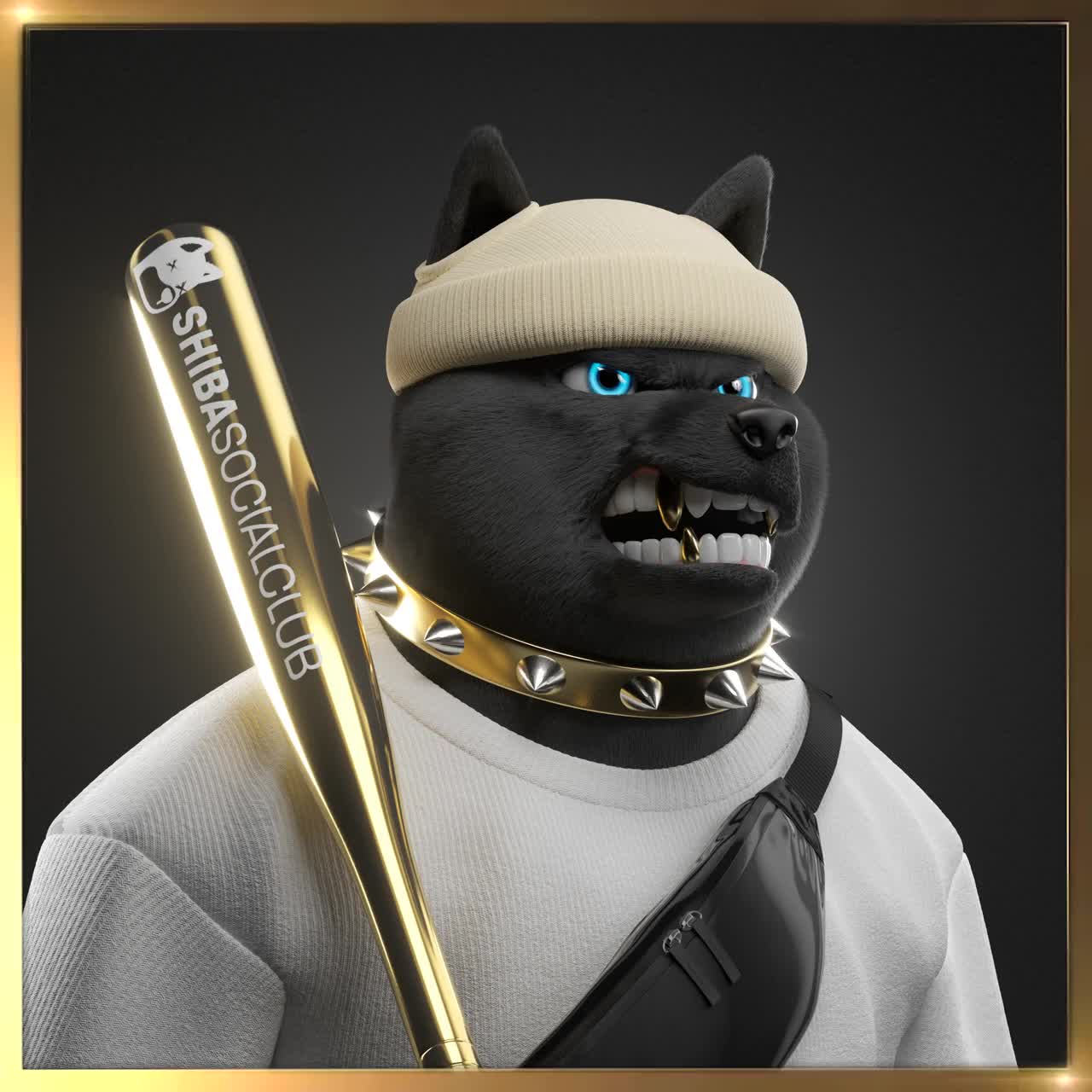 Shiba #2012