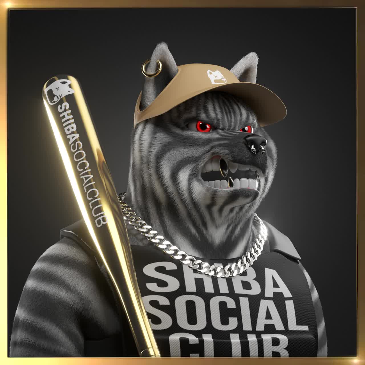 Shiba #2040