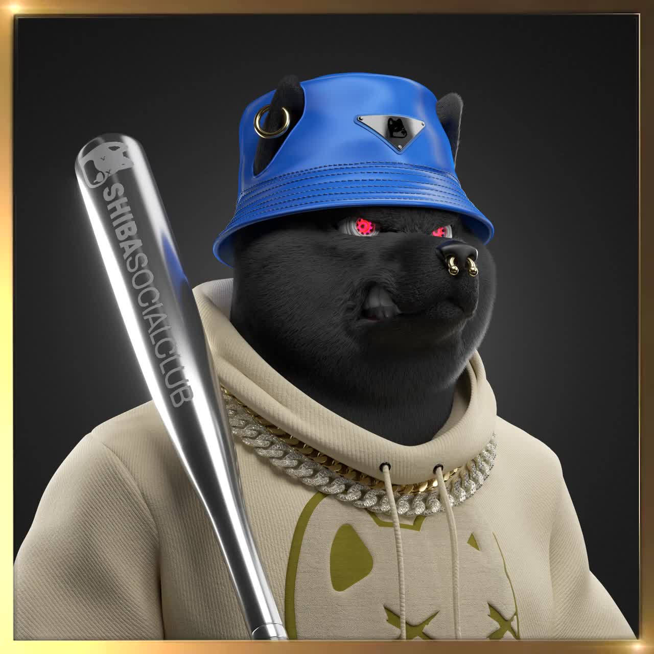 Shiba #2046