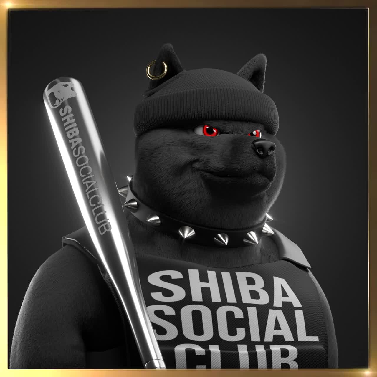Shiba #2122