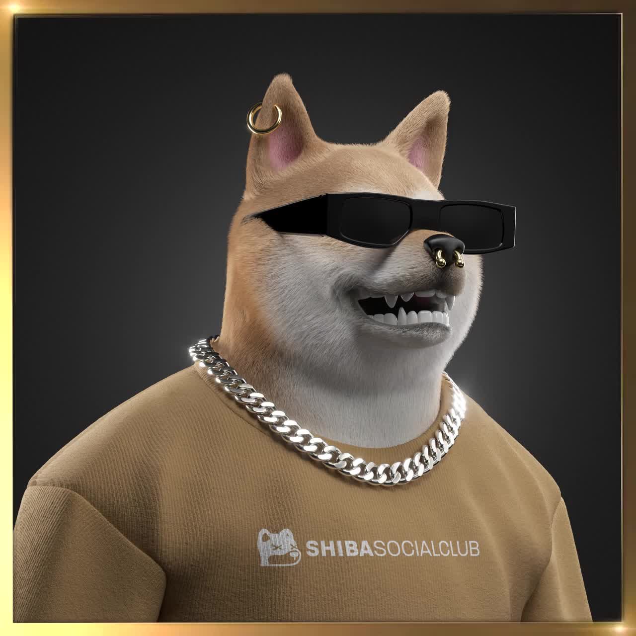 Shiba #2129