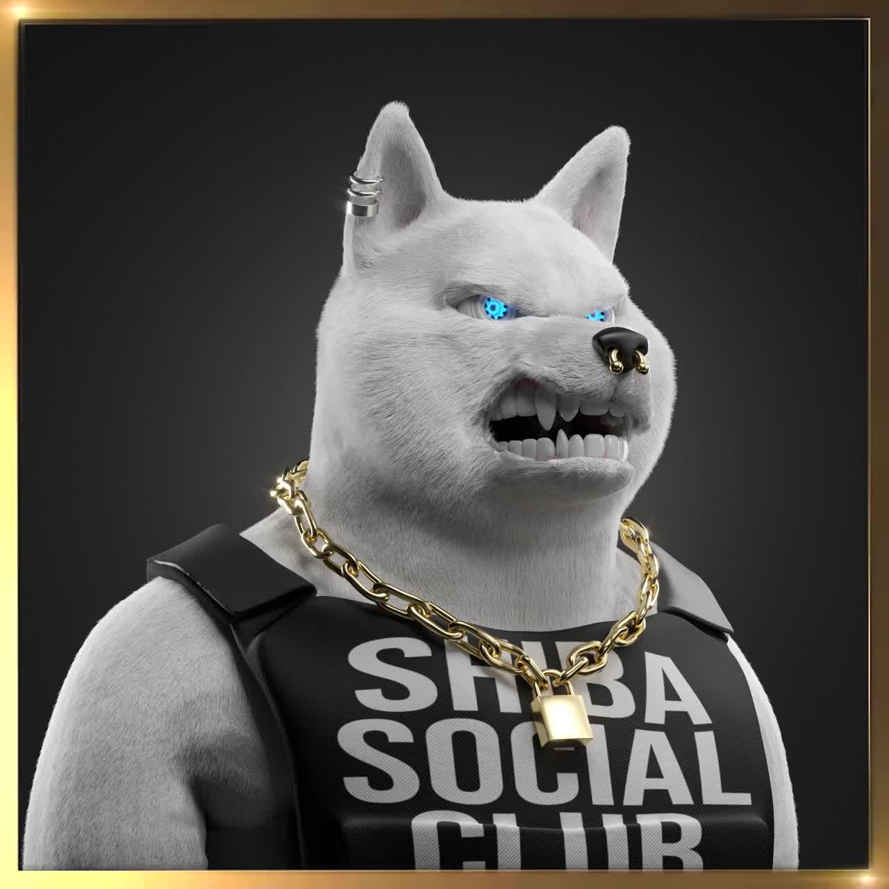 Shiba #2177