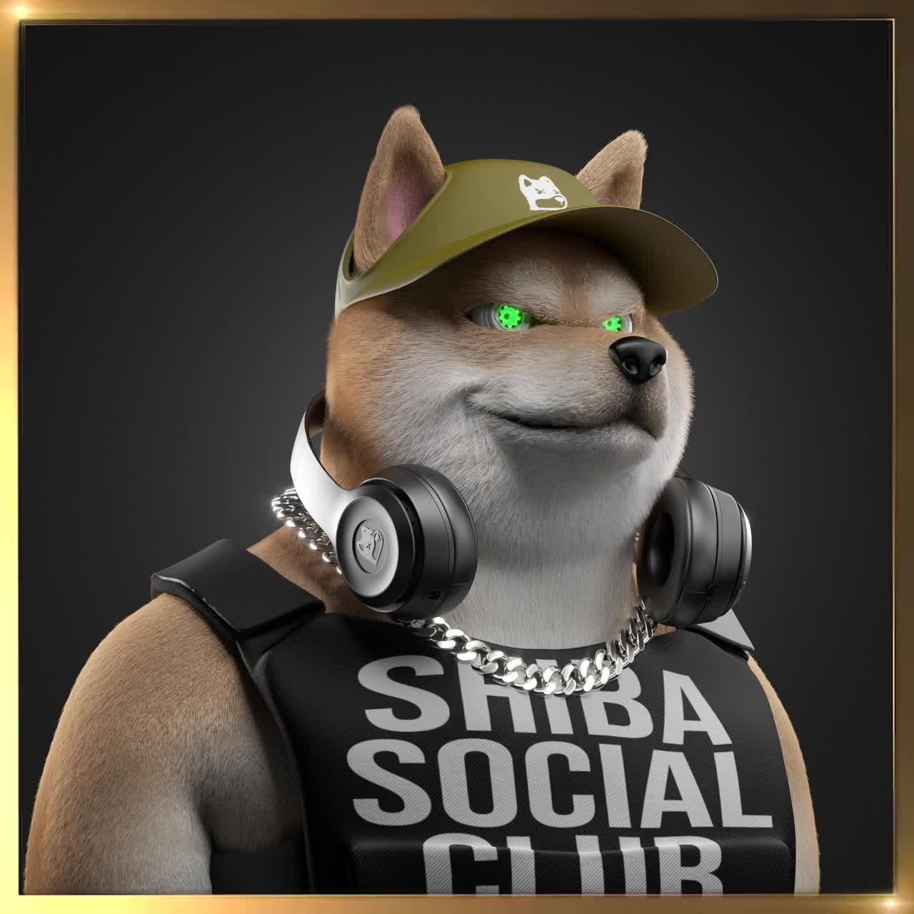 Shiba #2186