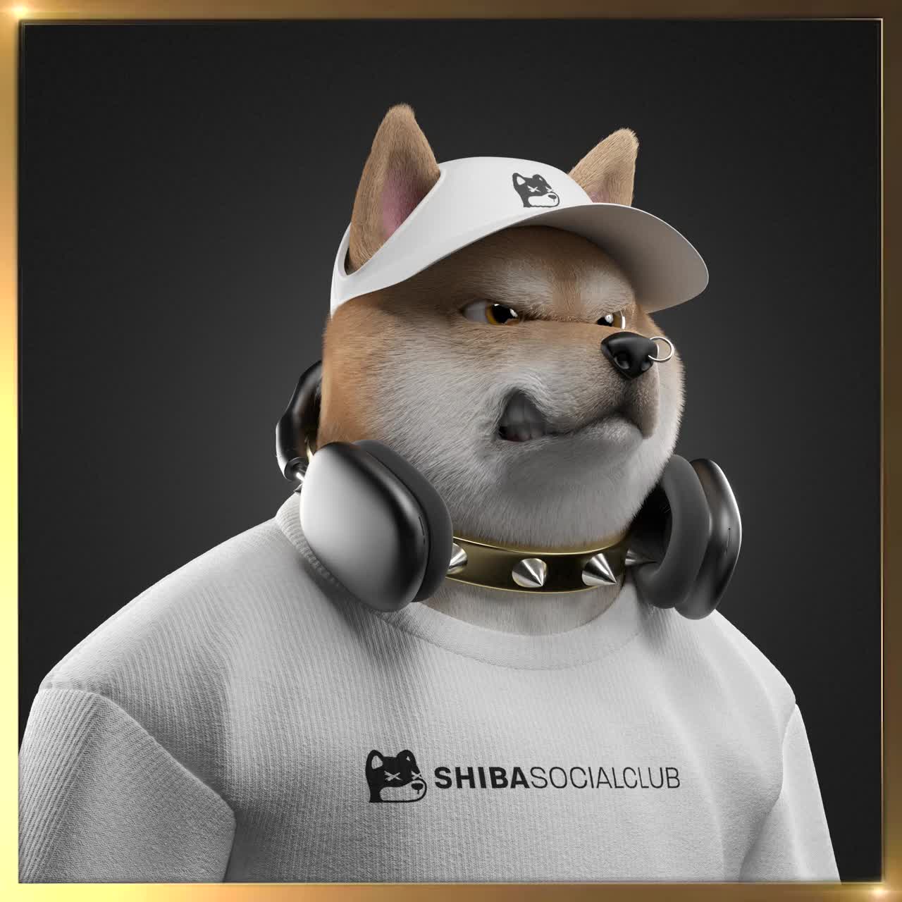 Shiba #2192