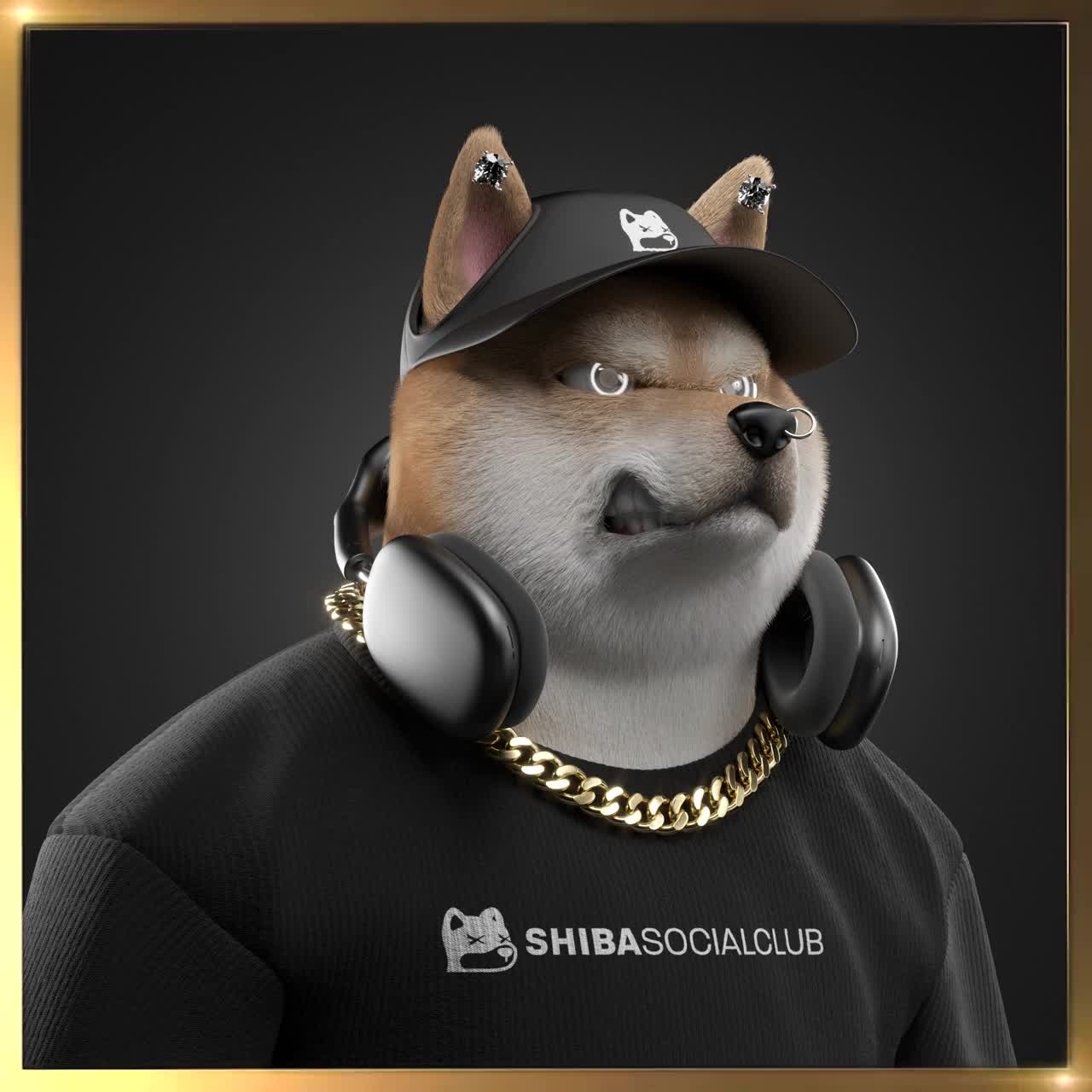 Shiba #2202