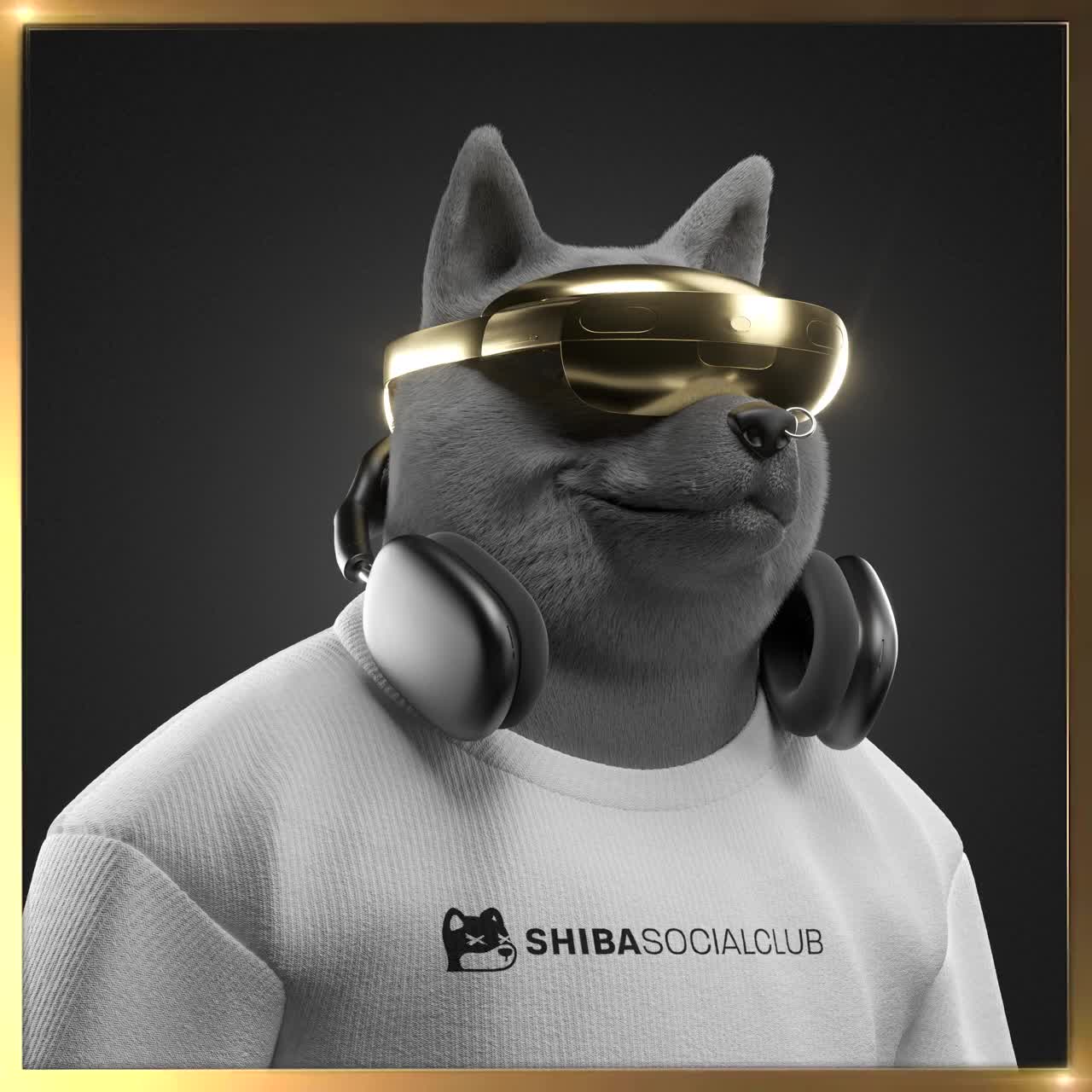 Shiba #2240
