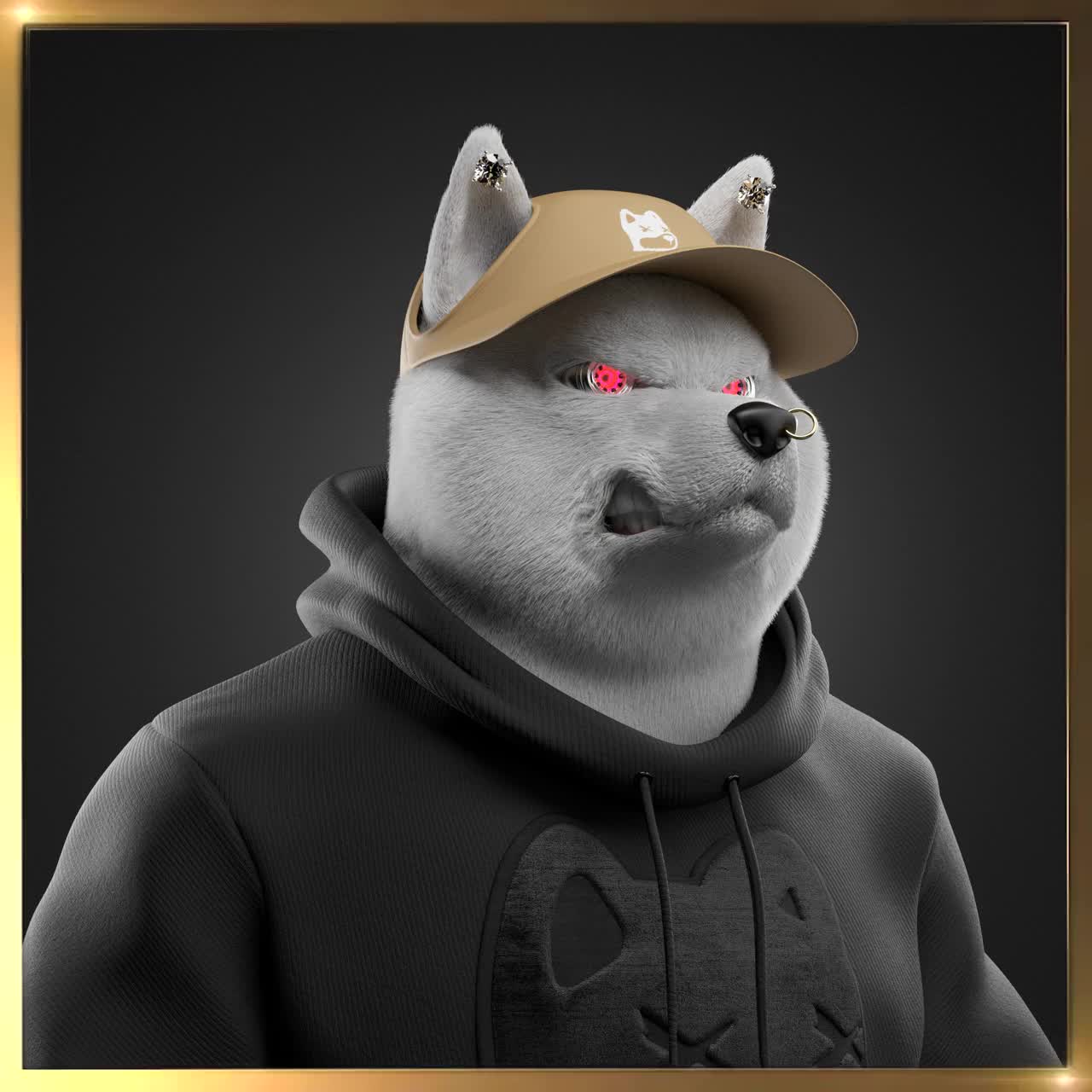 Shiba #2246