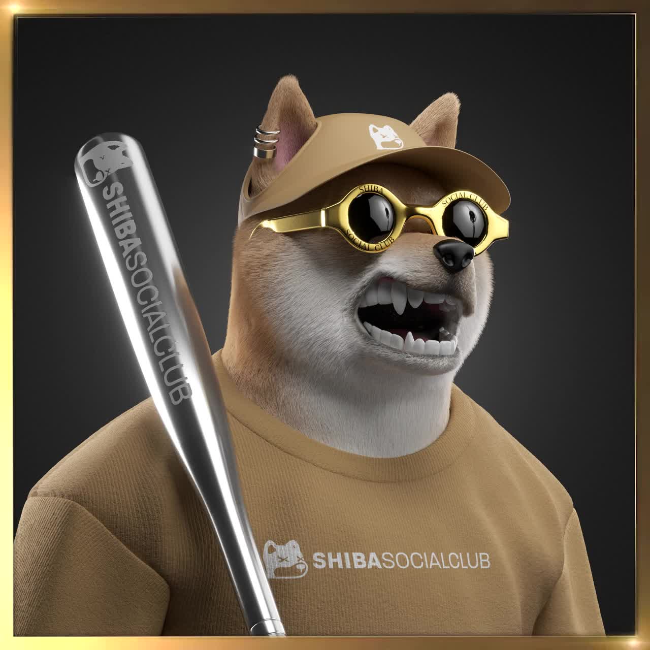 Shiba #2260