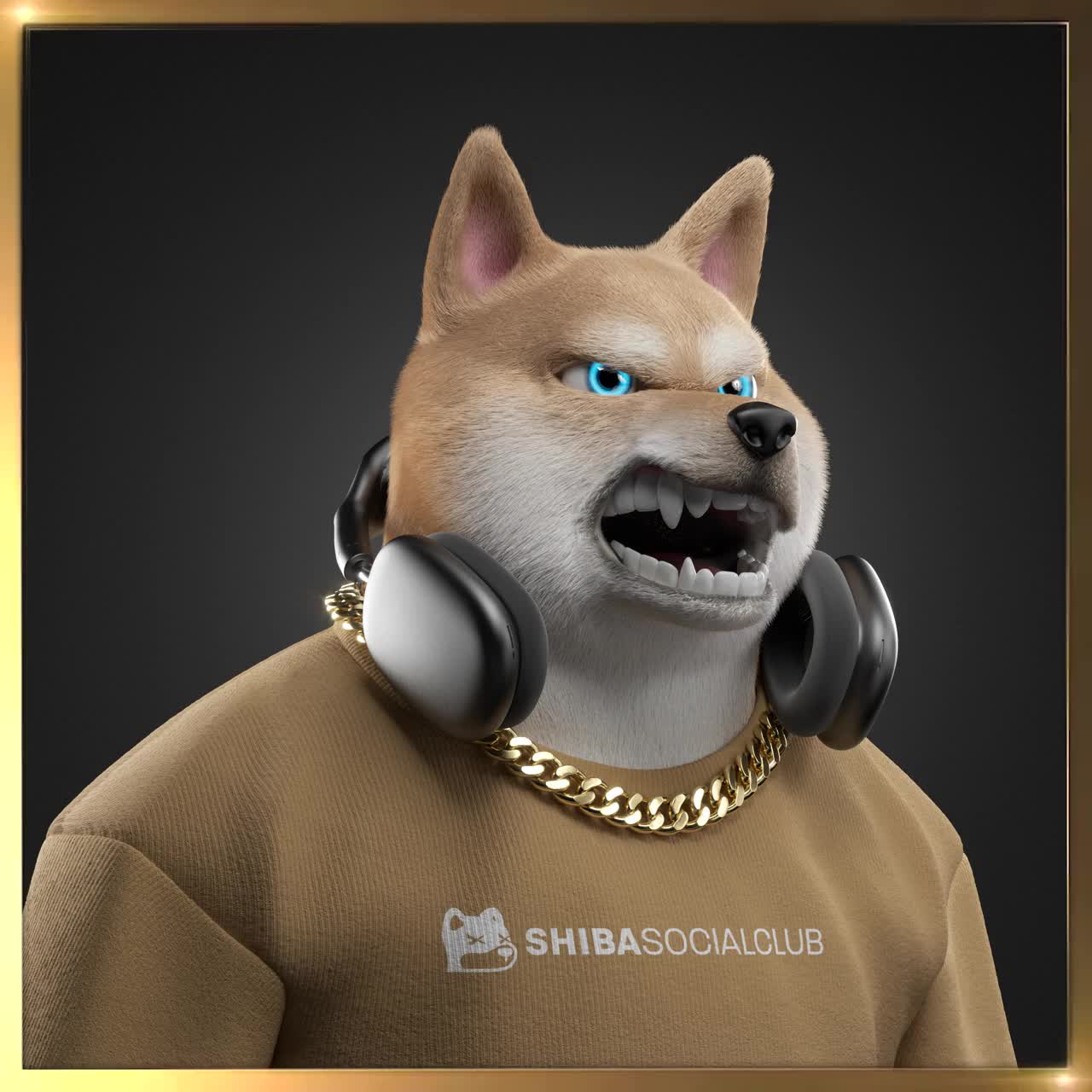 Shiba #2263