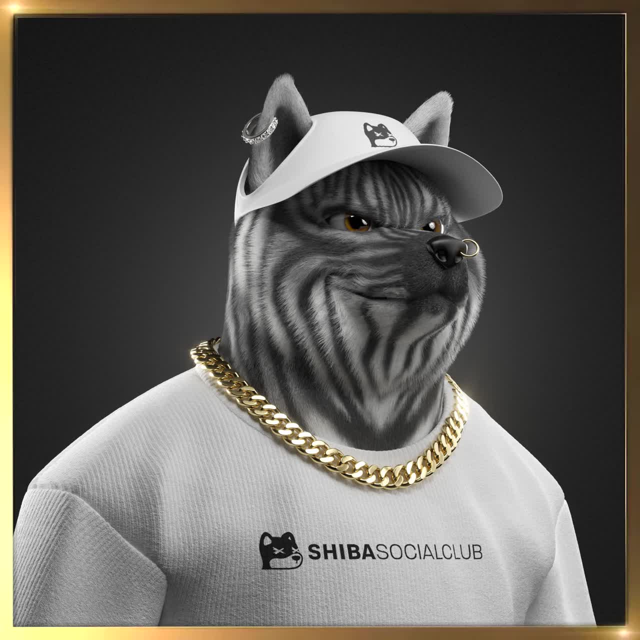 Shiba #2276