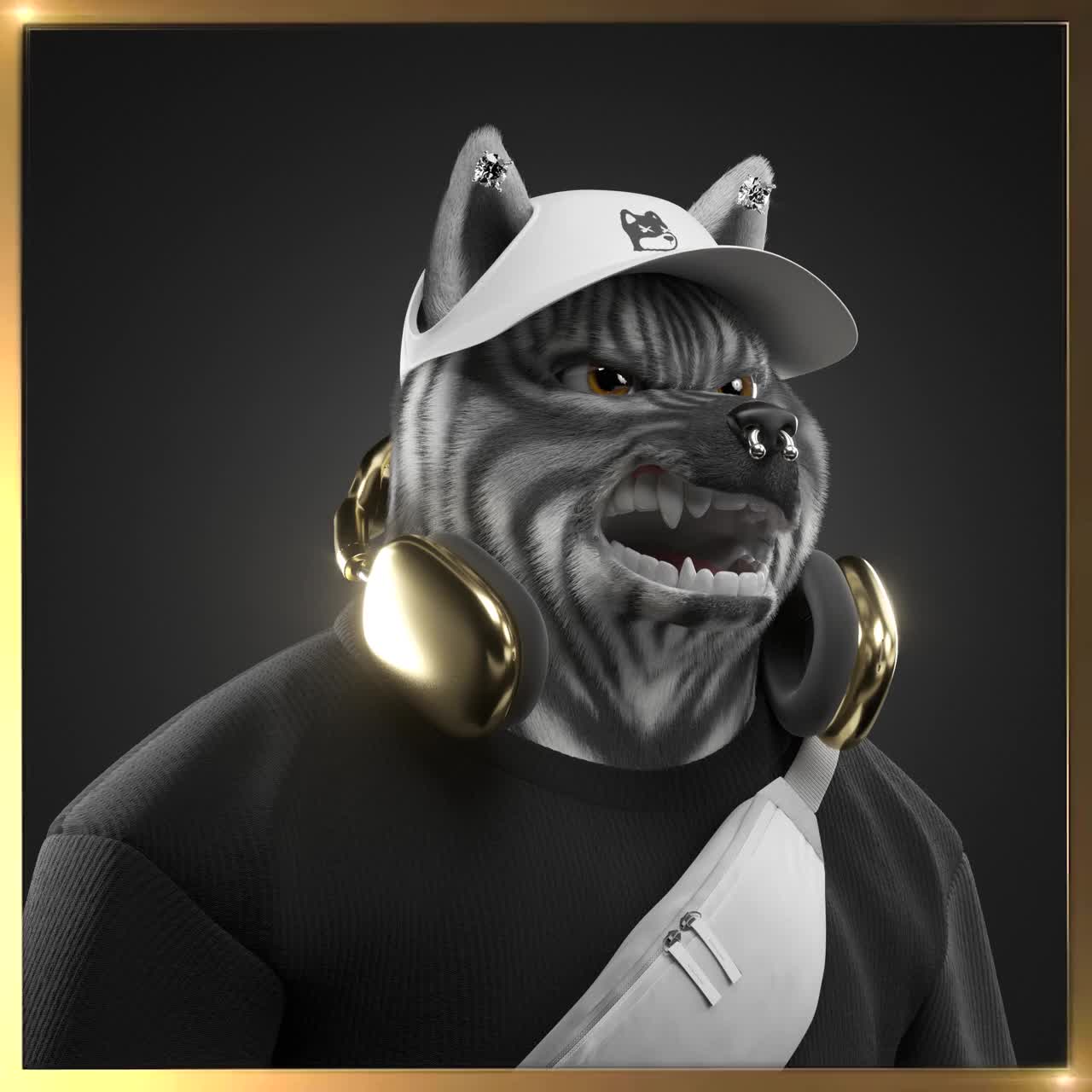 Shiba #2277