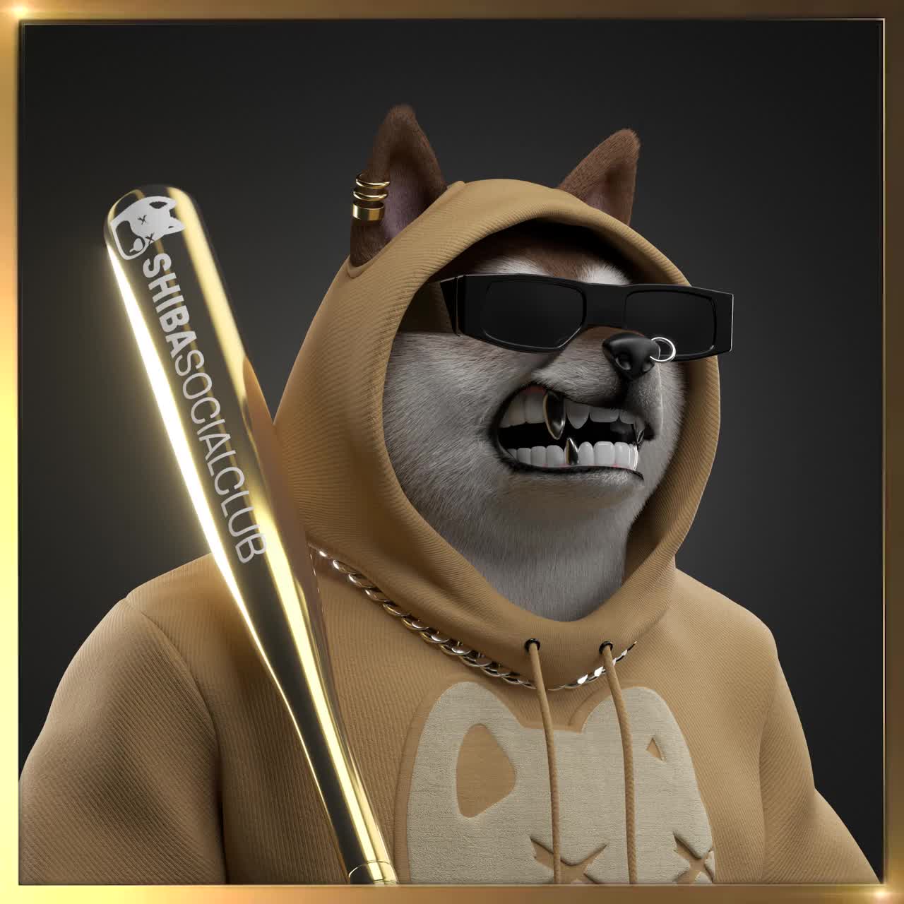 Shiba #2291