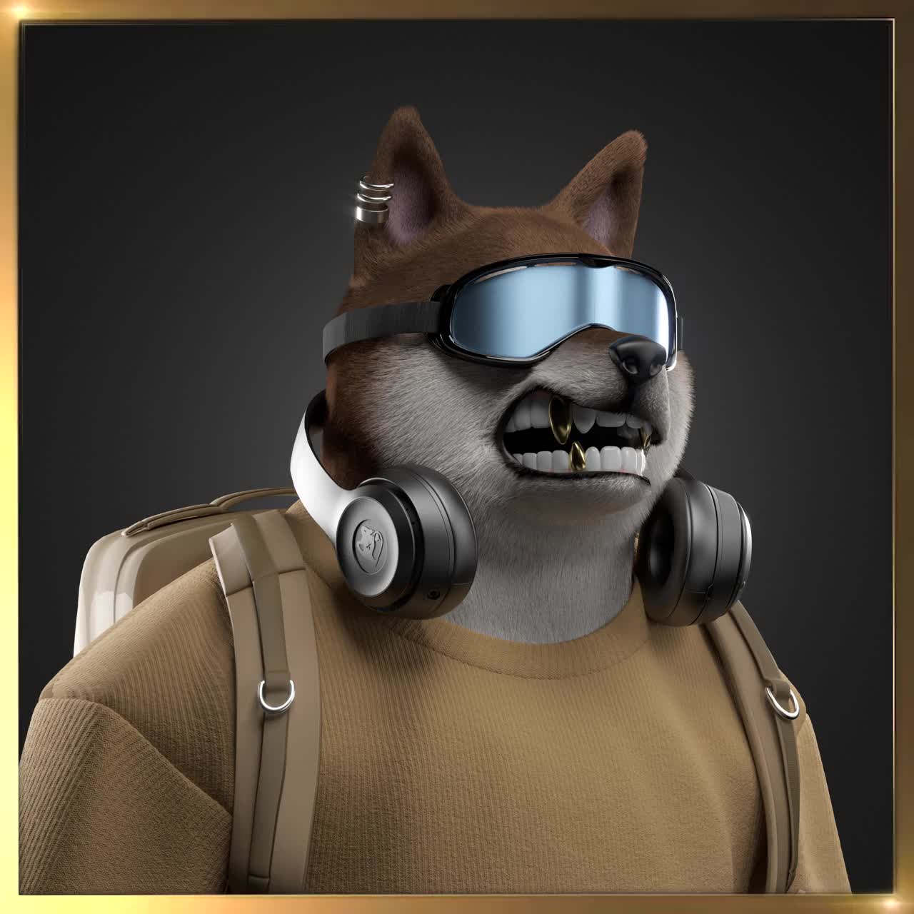 Shiba #2294