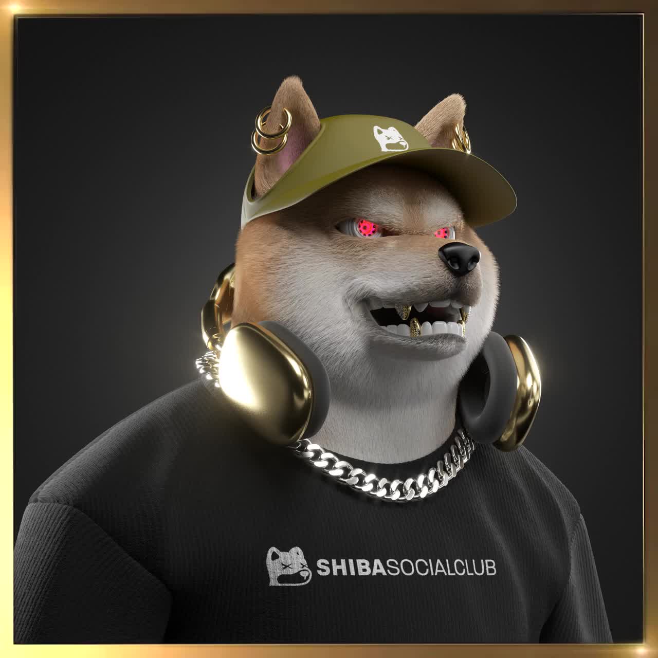 Shiba #2316
