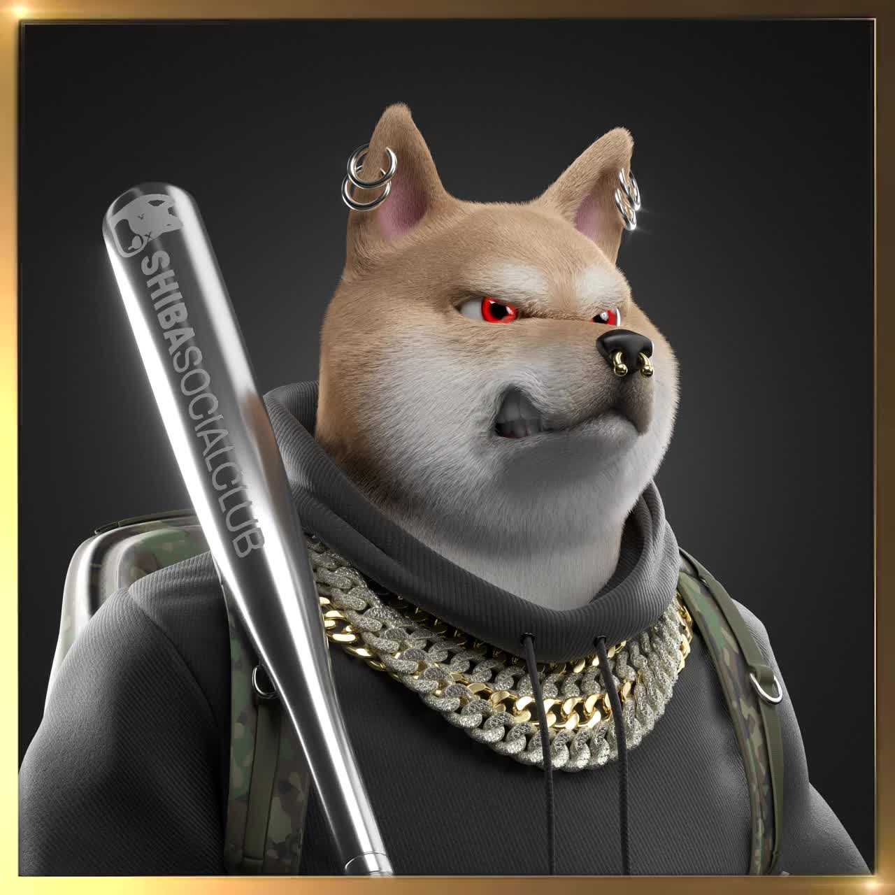 Shiba #2329
