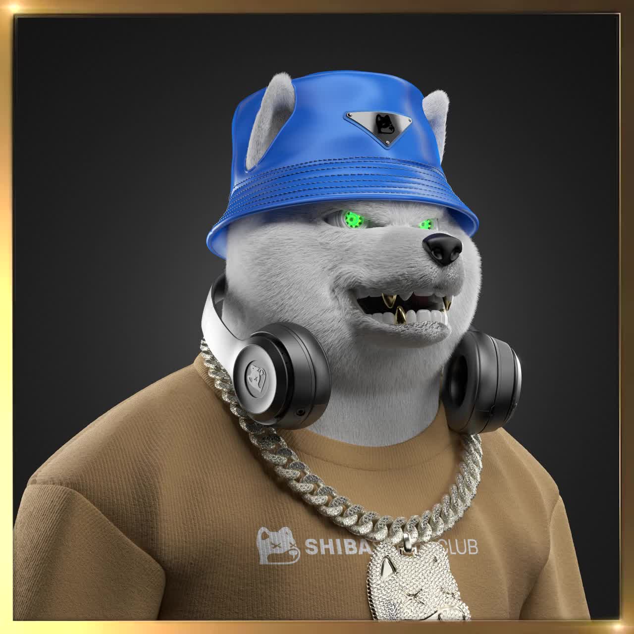 Shiba #2369