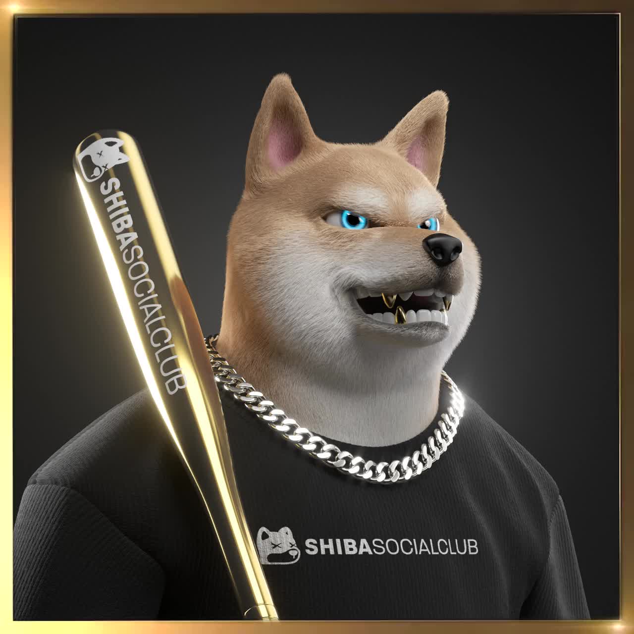 Shiba #2375