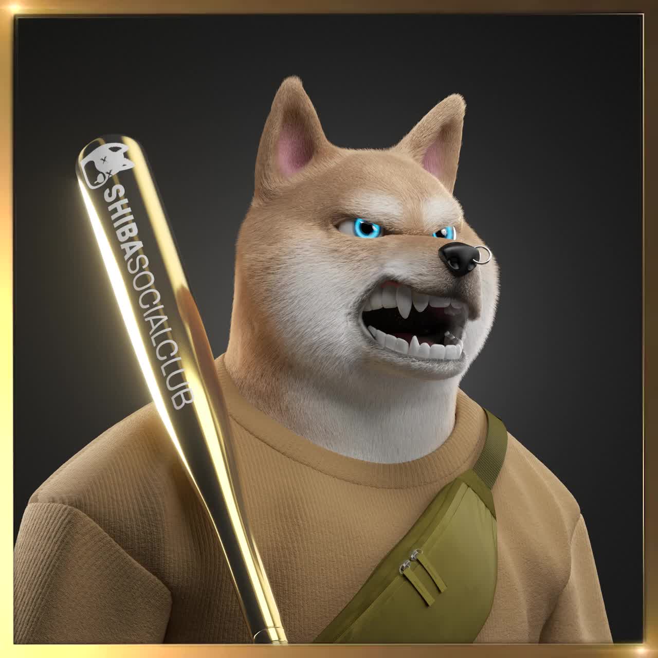 Shiba #2378