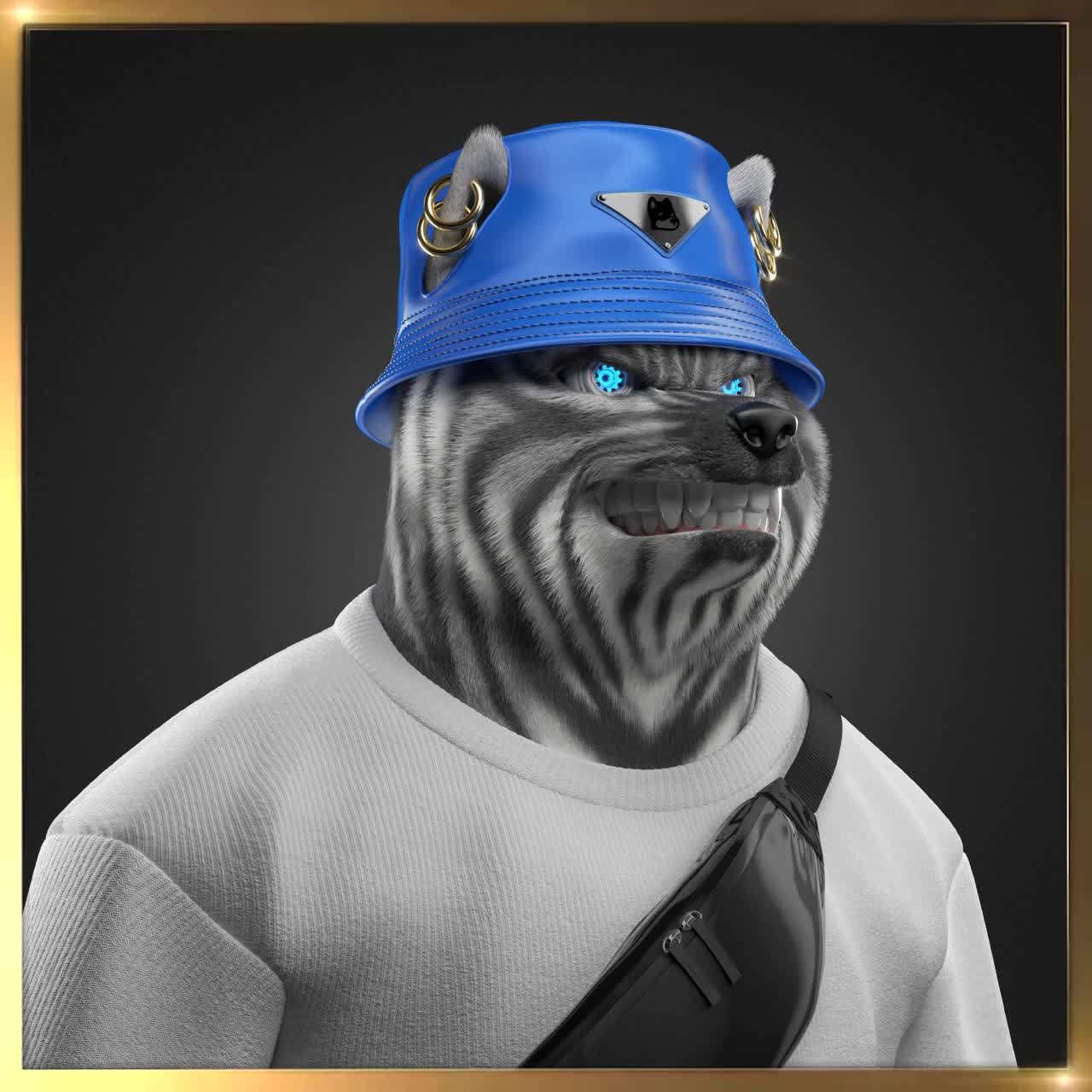 Shiba #2403