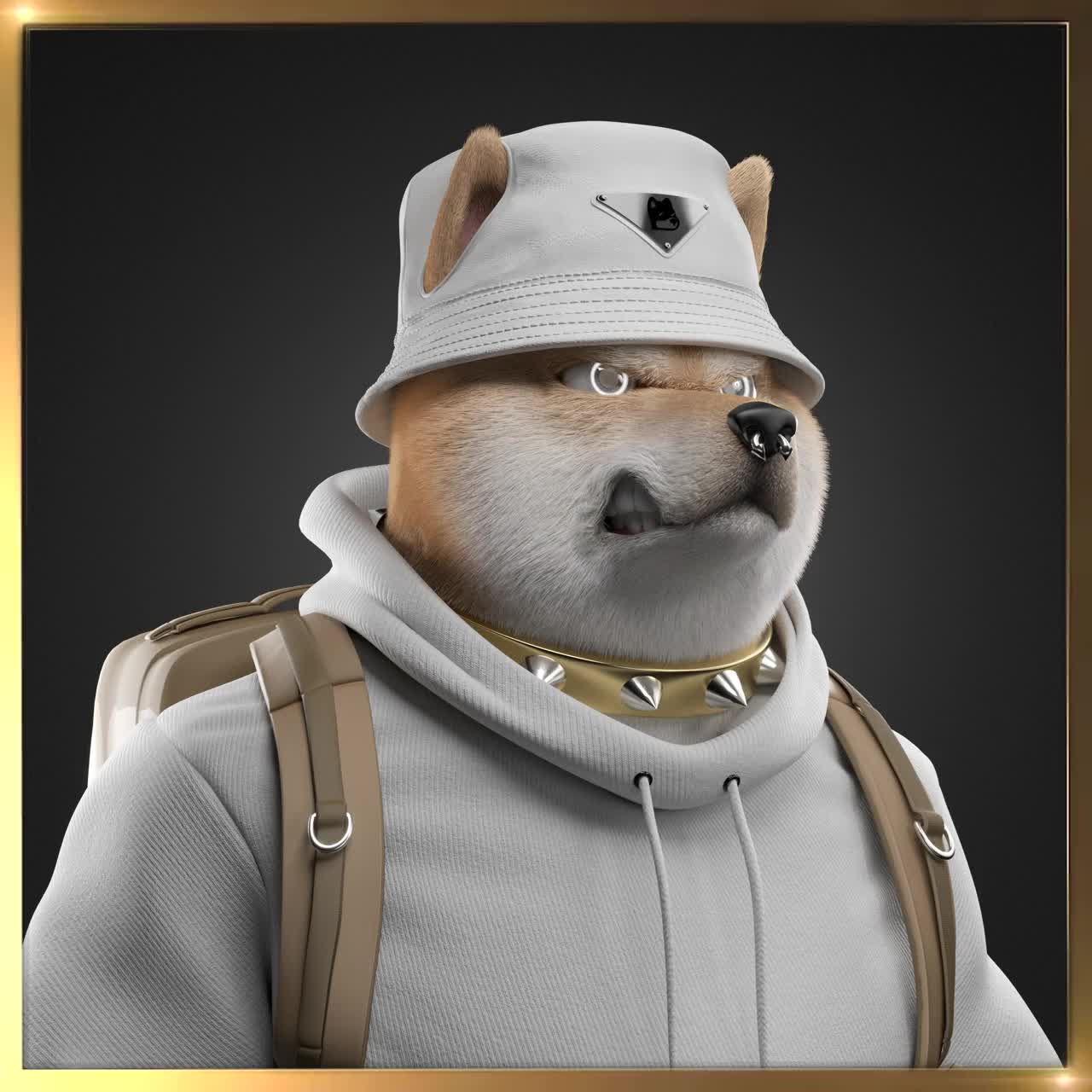 Shiba #2430