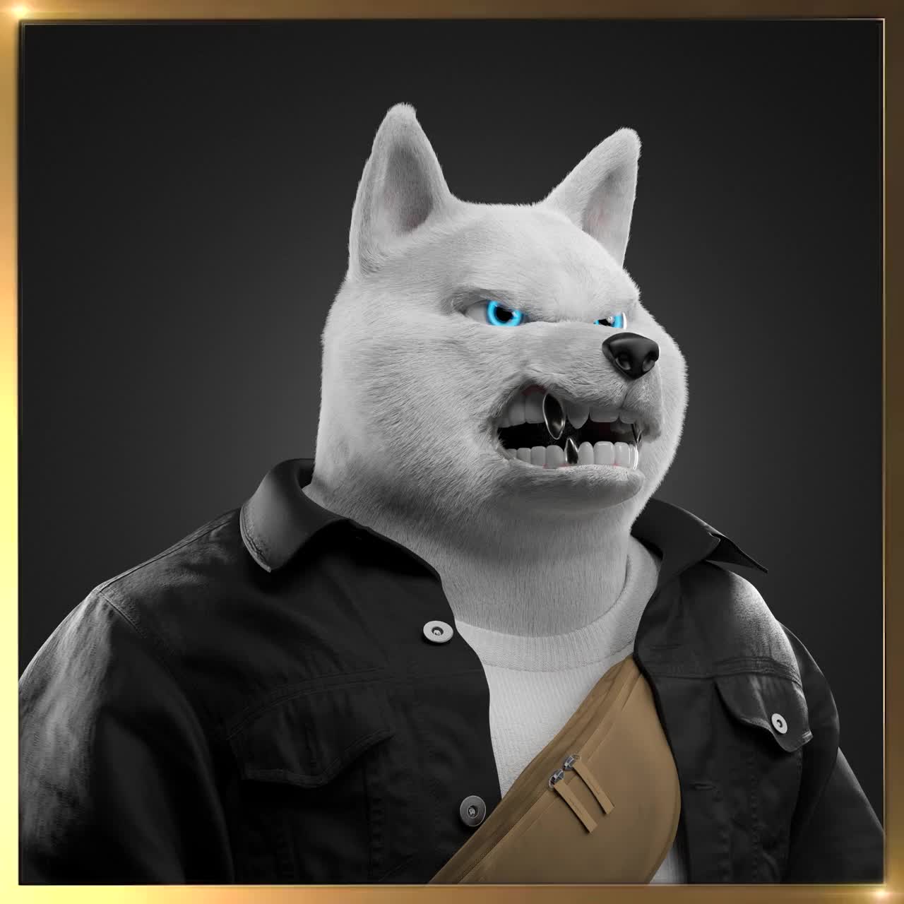 Shiba #2442