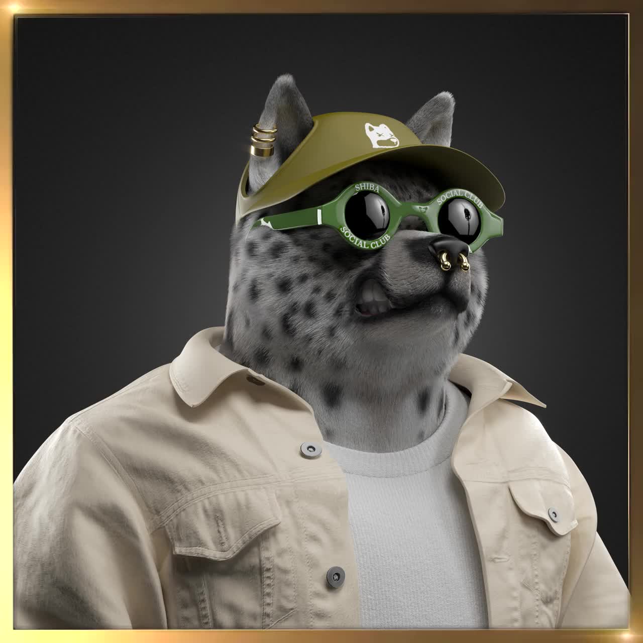 Shiba #2509