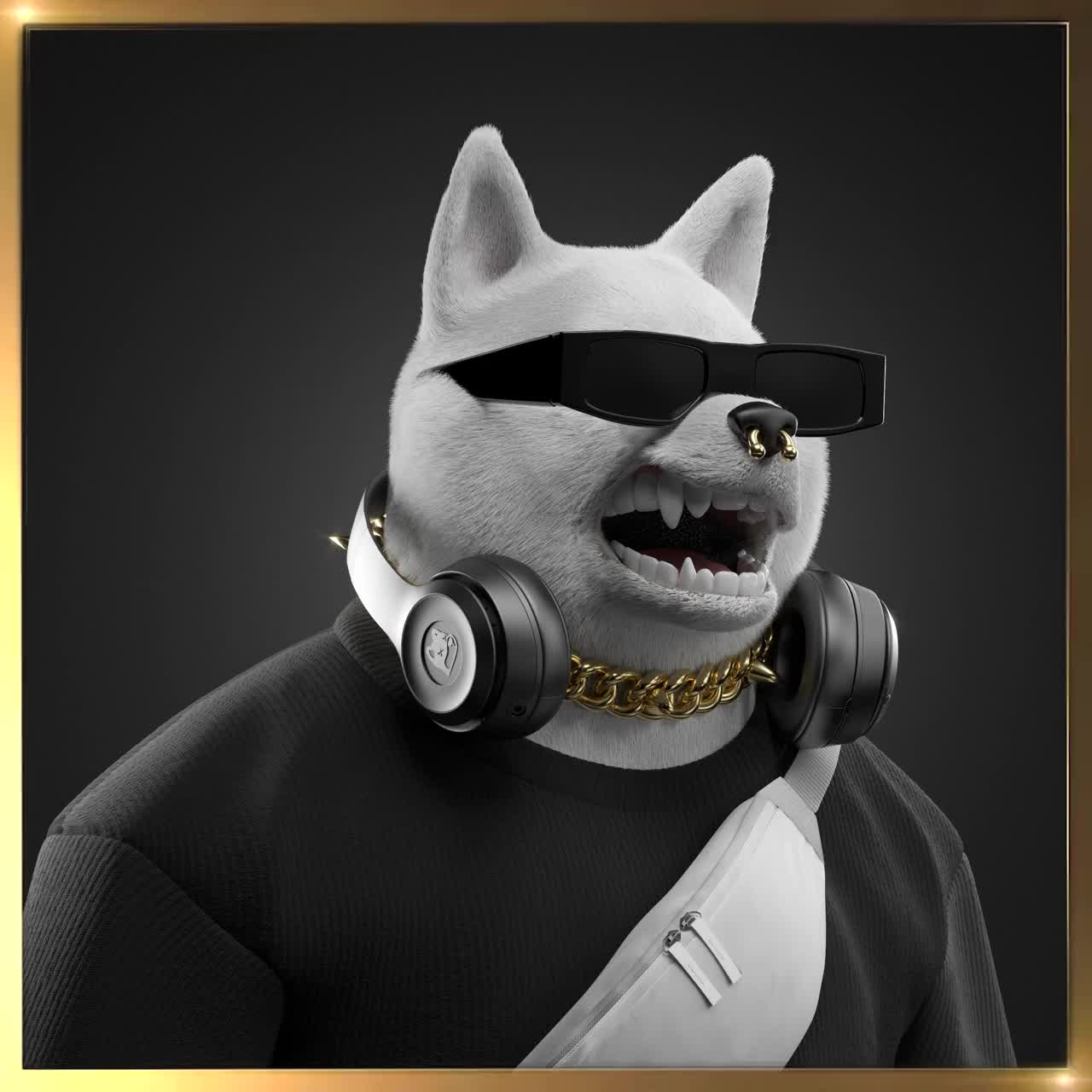 Shiba #2515
