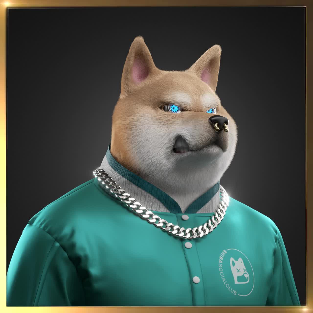 Shiba #2517