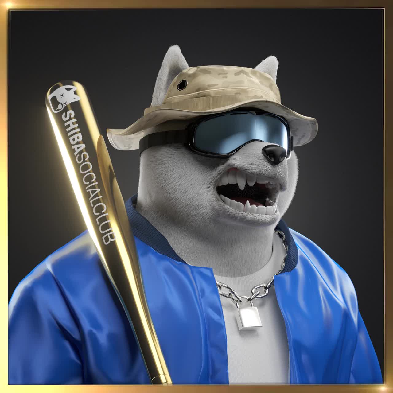 Shiba #2538