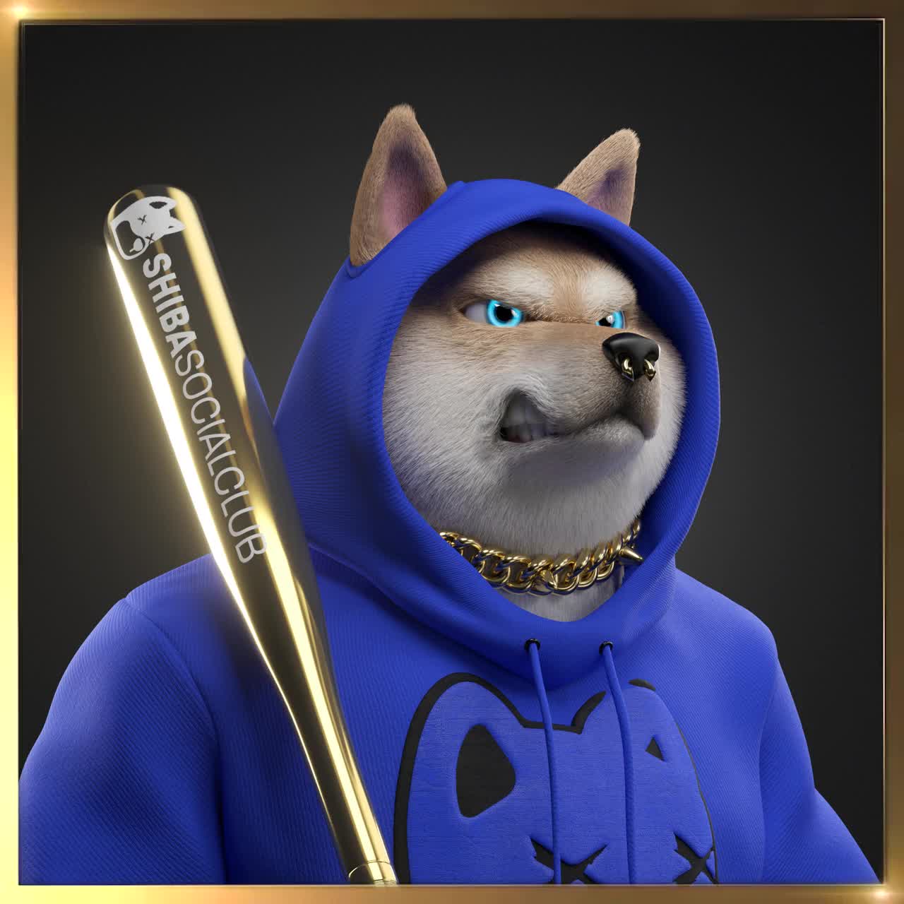 Shiba #2542