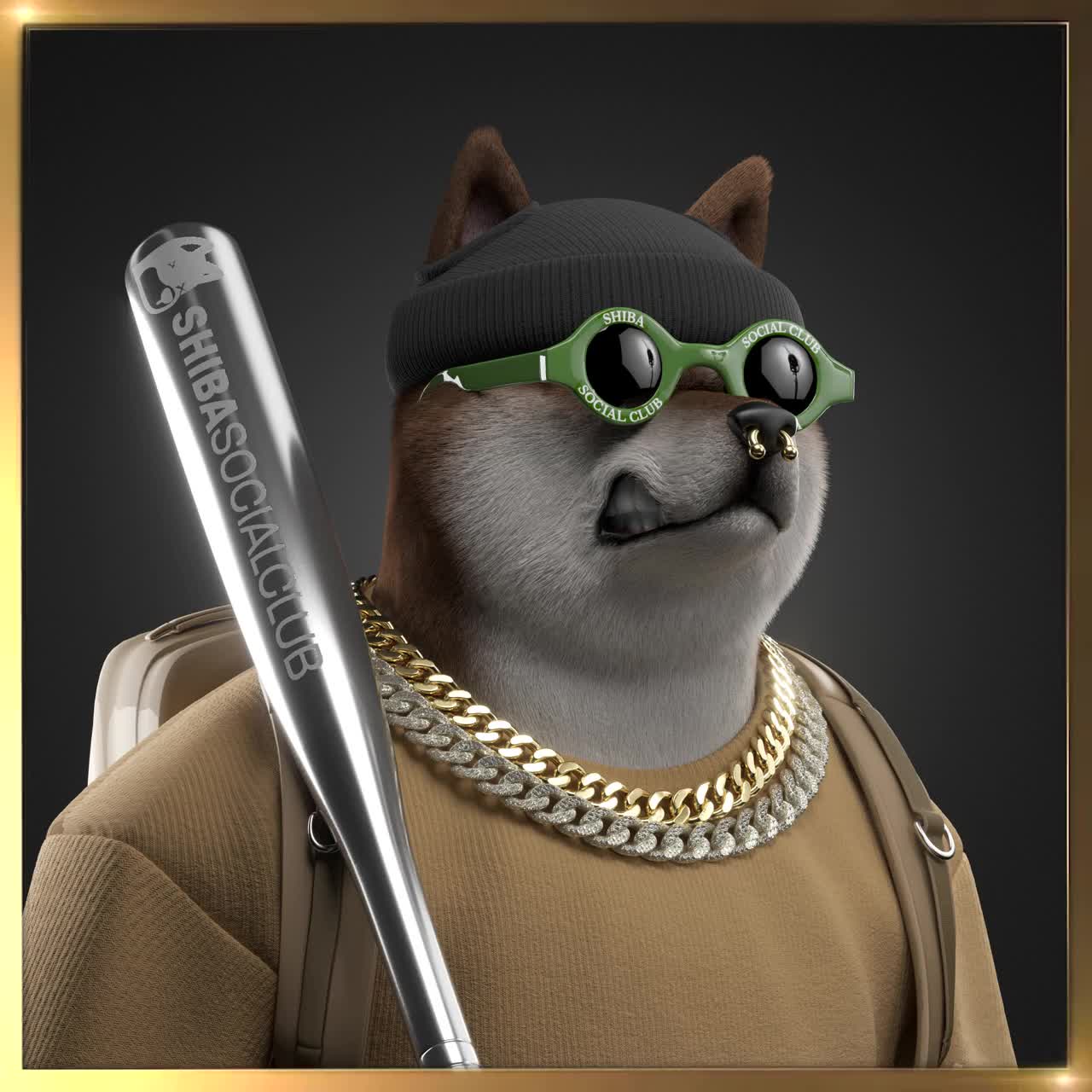 Shiba #2544