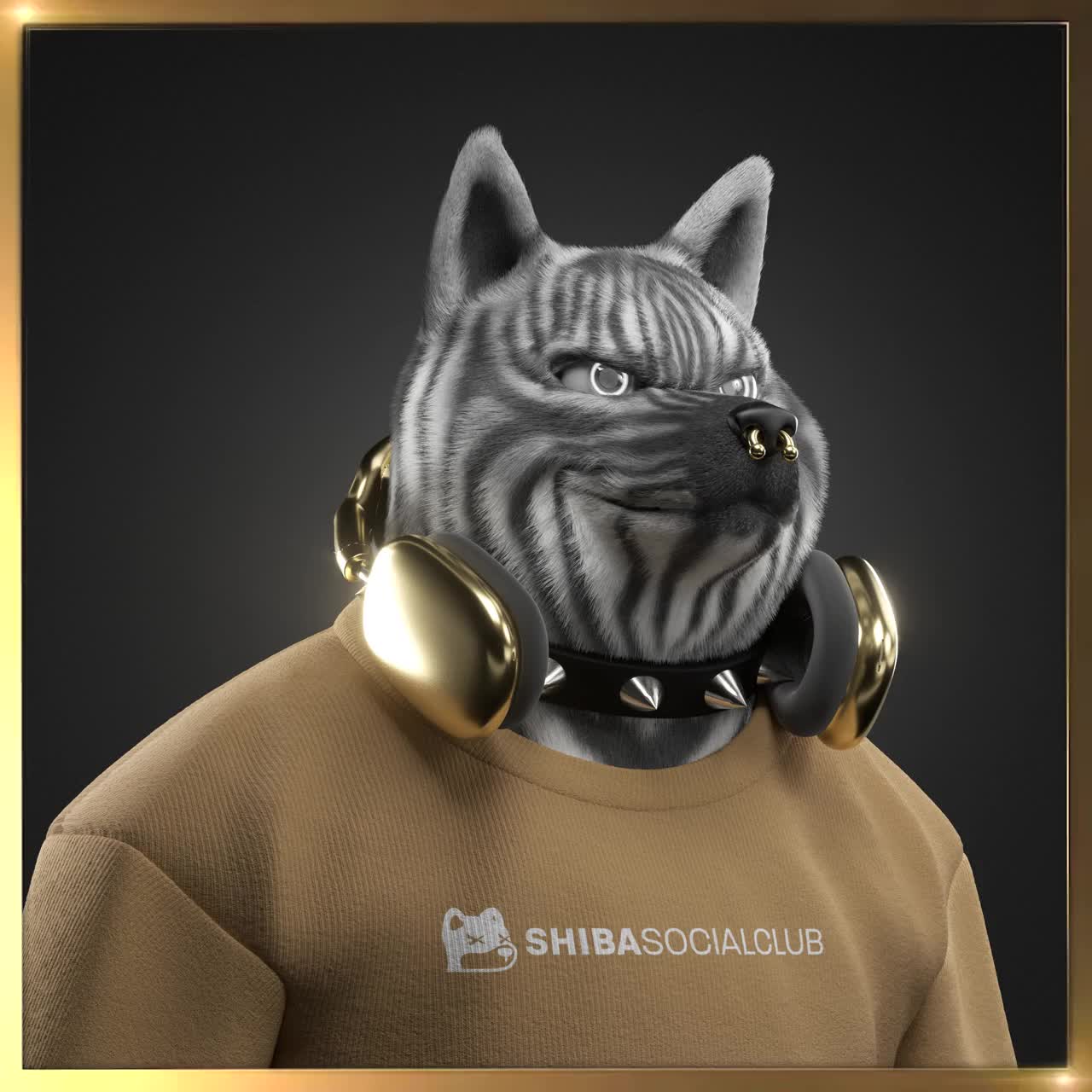 Shiba #2566